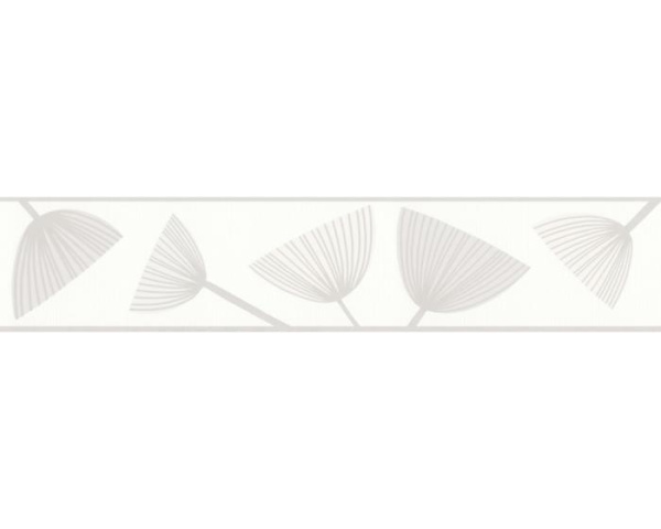 269041