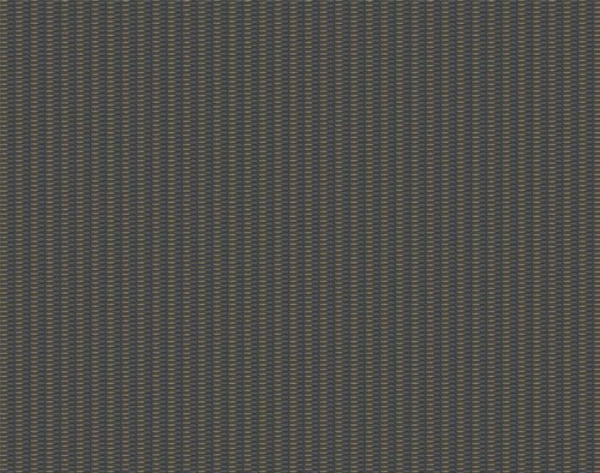 55029