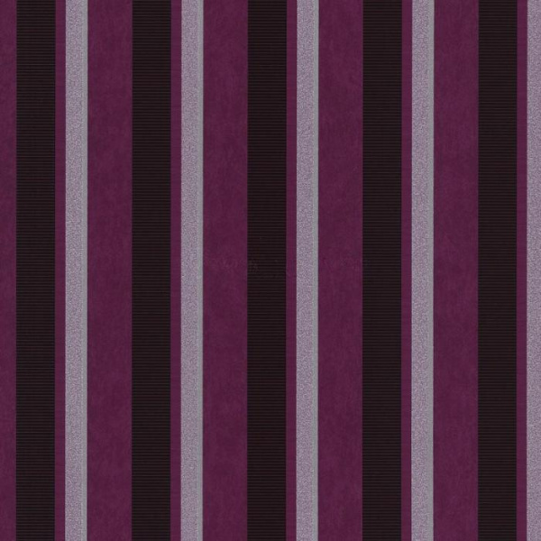 02421-50