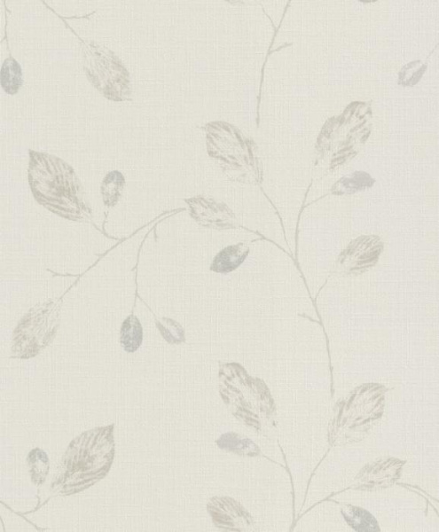 443004