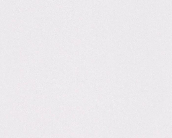 303341