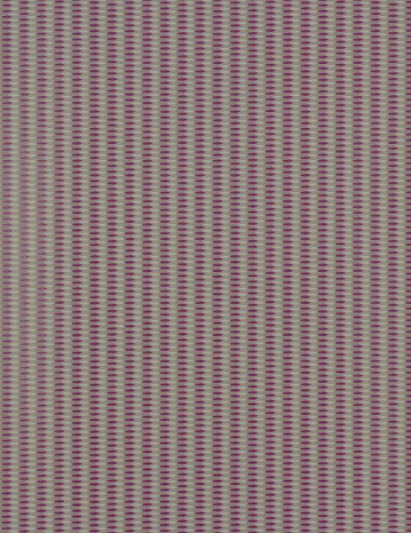 55033