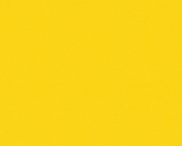 956576