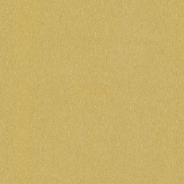 02538-10