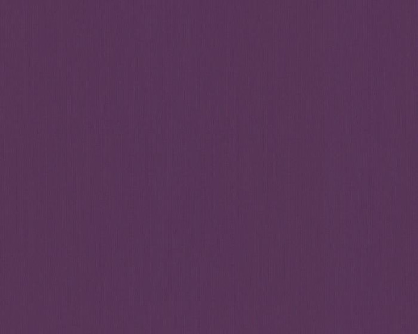 264855