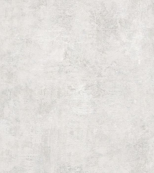 282405