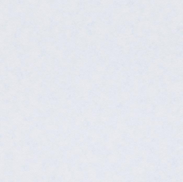 271256