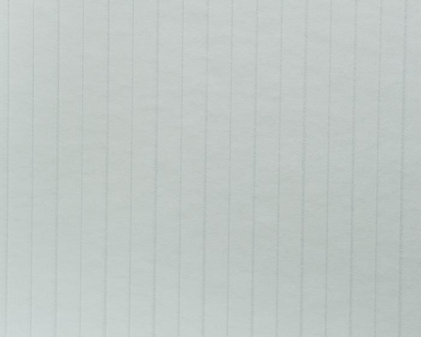 117496