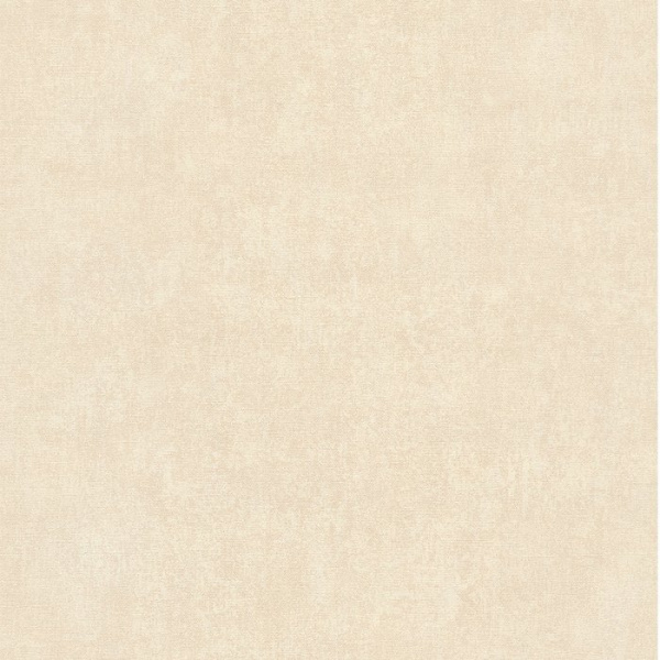 02503-50