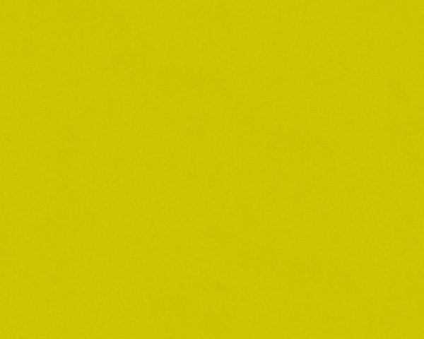 296559
