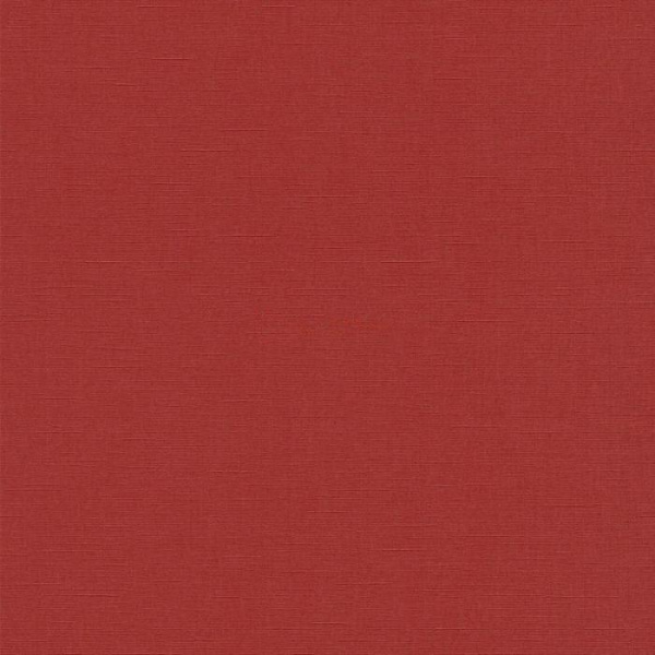 02505-20
