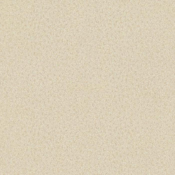 02523-50