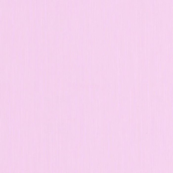 53833