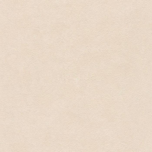 445817