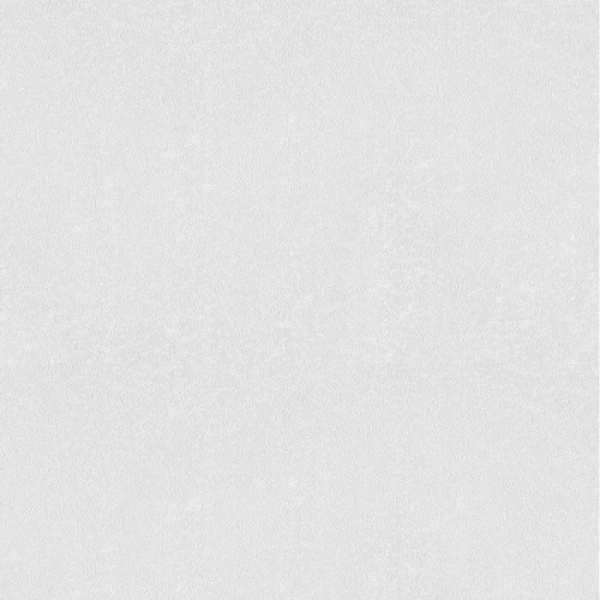 02537-10