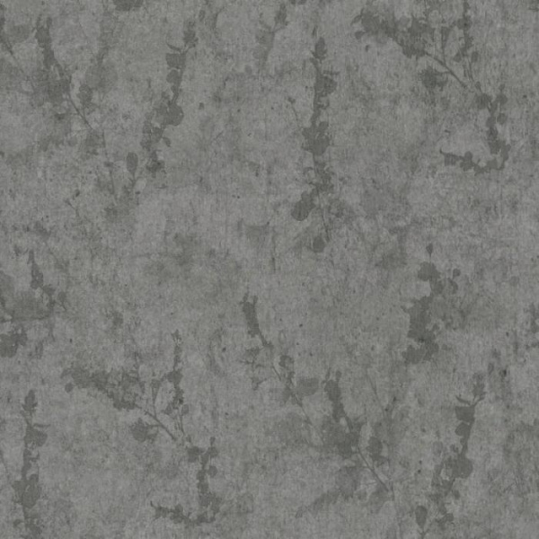 02462-20