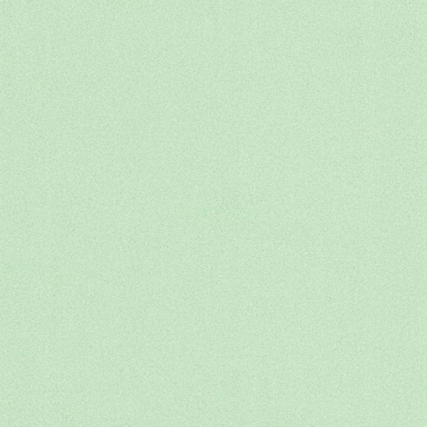02403-80