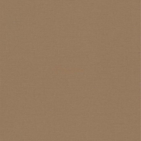 02504-80