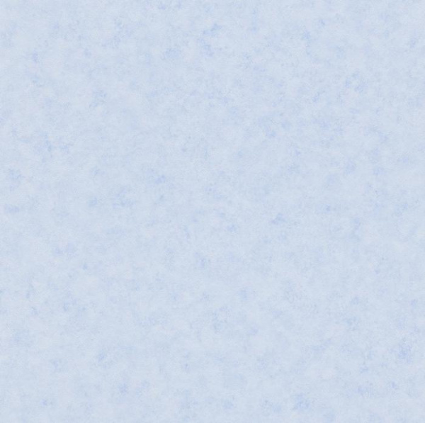 271249