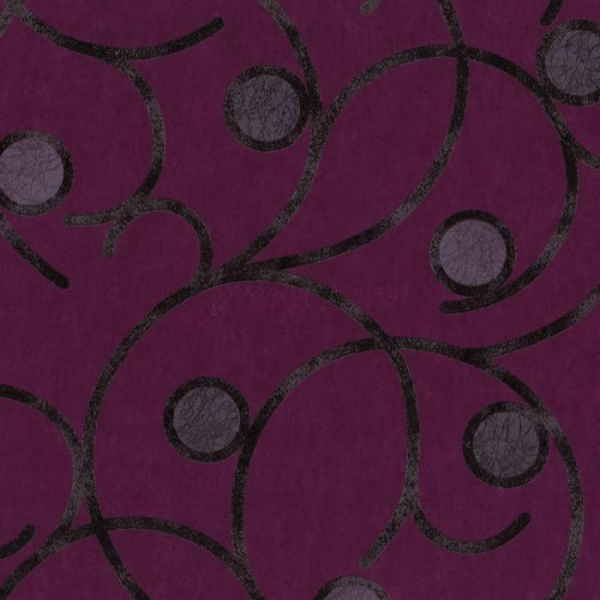 02420-50