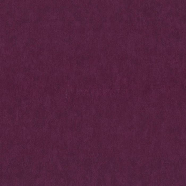 02422-50