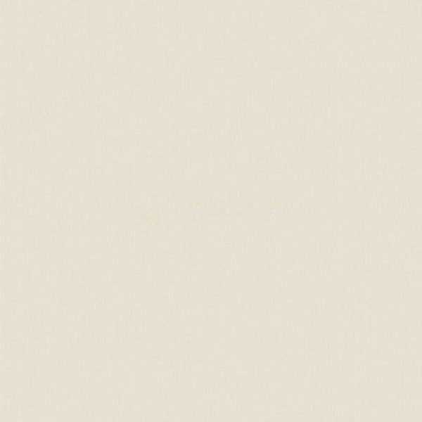 55207