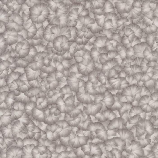 02304-50 / 02304-52
