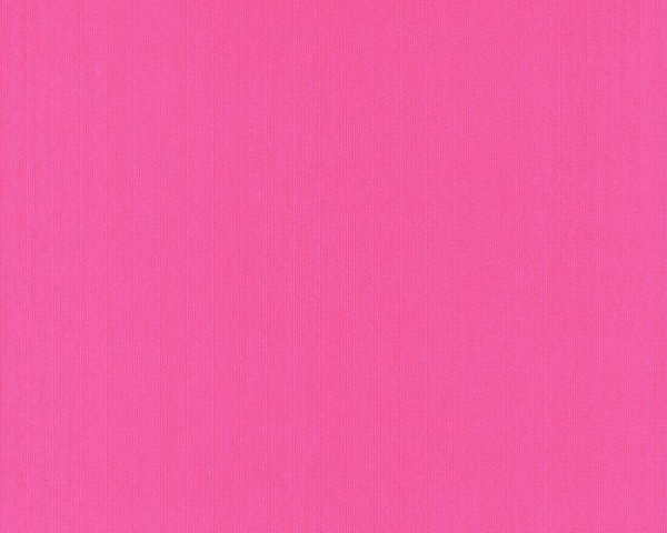256119