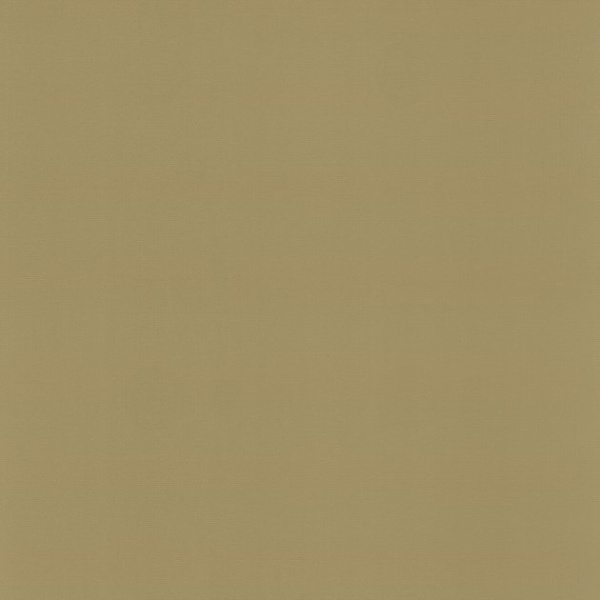42037-80